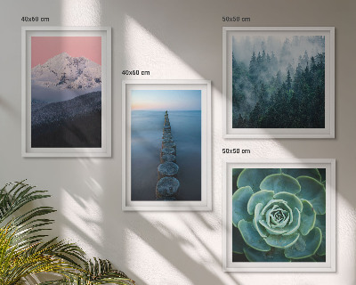 Wanddeko-set Berge, rosa Himmel, Wasser, Sukkulente