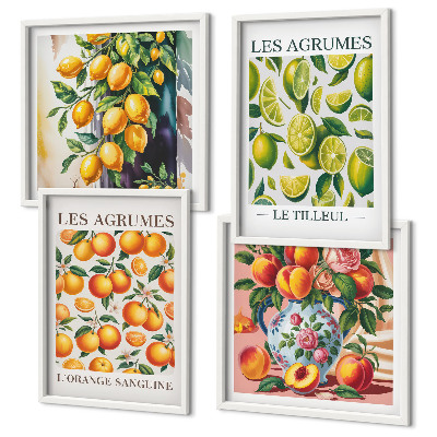 Wanddeko-set Frische, farbenfrohe Zitrusfrüchte