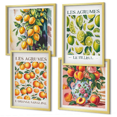 Wanddeko-set Frische, farbenfrohe Zitrusfrüchte