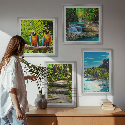 Wanddeko-set Tropischer Wald Papageienwasserfall