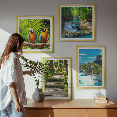 Wanddeko-set Tropischer Wald Papageienwasserfall