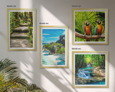 Wanddeko-set Tropischer Wald Papageienwasserfall