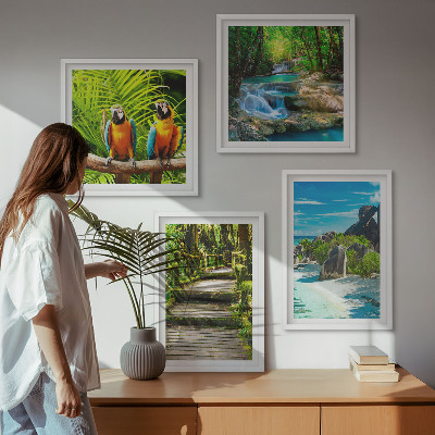 Wanddeko-set Tropischer Wald Papageienwasserfall