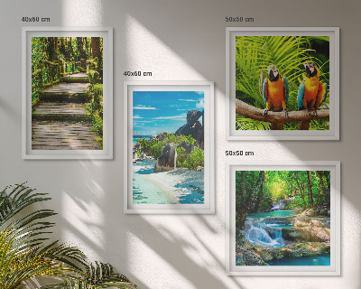 Wanddeko-set Tropischer Wald Papageienwasserfall