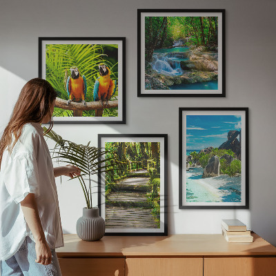 Wanddeko-set Tropischer Wald Papageienwasserfall