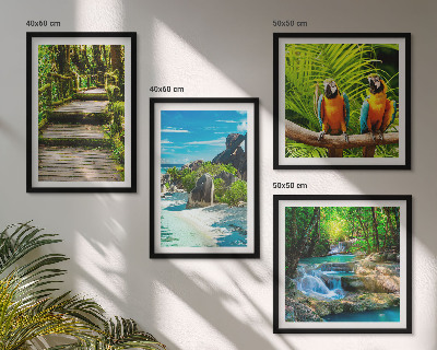 Wanddeko-set Tropischer Wald Papageienwasserfall
