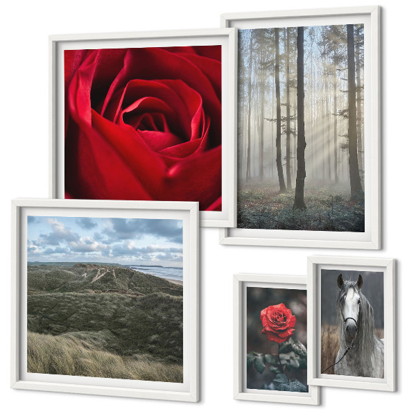 Bildergalerie-set für die wand Naturblumen in verschiedenen Stilen