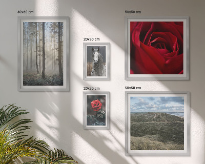 Bildergalerie-set für die wand Naturblumen in verschiedenen Stilen