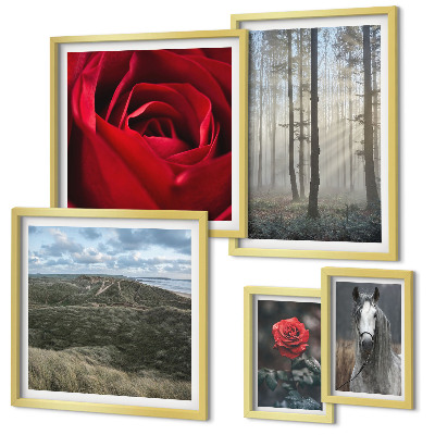 Bildergalerie-set für die wand Naturblumen in verschiedenen Stilen