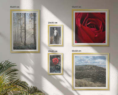 Bildergalerie-set für die wand Naturblumen in verschiedenen Stilen