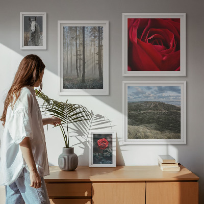 Bildergalerie-set für die wand Naturblumen in verschiedenen Stilen