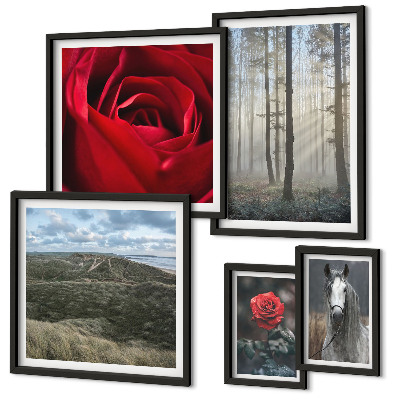 Bildergalerie-set für die wand Naturblumen in verschiedenen Stilen
