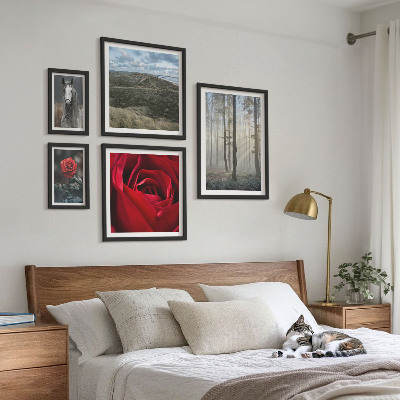 Bildergalerie-set für die wand Naturblumen in verschiedenen Stilen