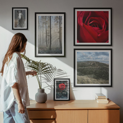 Bildergalerie-set für die wand Naturblumen in verschiedenen Stilen