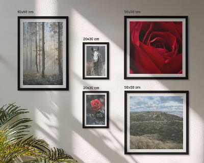 Bildergalerie-set für die wand Naturblumen in verschiedenen Stilen