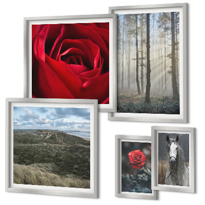 Bildergalerie-set für die wand Naturblumen in verschiedenen Stilen