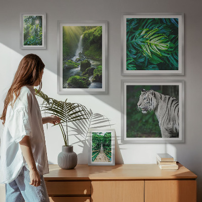Bildergalerie-set für die wand Tropische Naturlandschaften