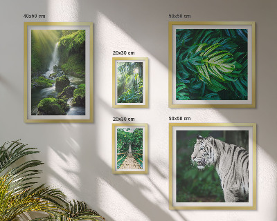 Bildergalerie-set für die wand Tropische Naturlandschaften