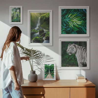 Bildergalerie-set für die wand Tropische Naturlandschaften