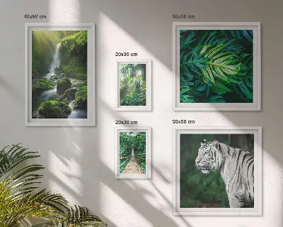 Wandbilder-Set mit tropischen Naturlandschaften