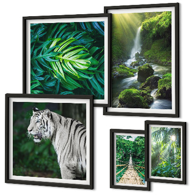 Bildergalerie-set für die wand Tropische Naturlandschaften