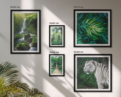 Bildergalerie-set für die wand Tropische Naturlandschaften
