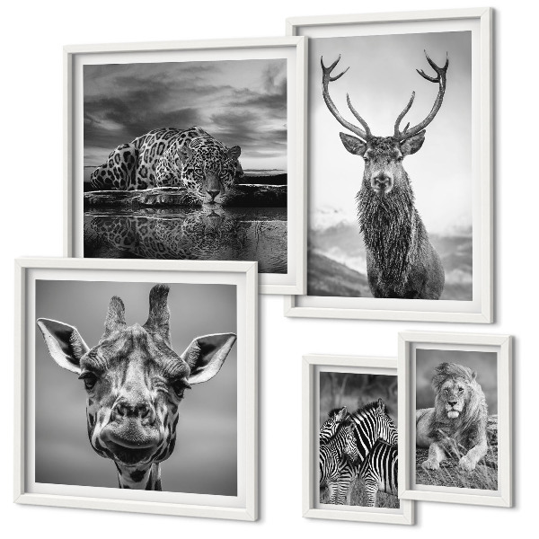 Bildergalerie-set für die wand Schwarz-Weiß-Tiere Natur