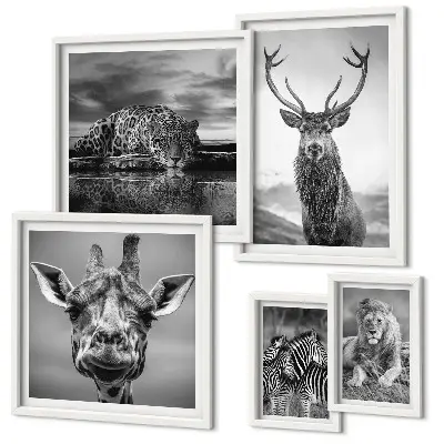 Bildergalerie-Set für die Wand mit Motiven von Schwarz-Weiß-Tieren und Natur