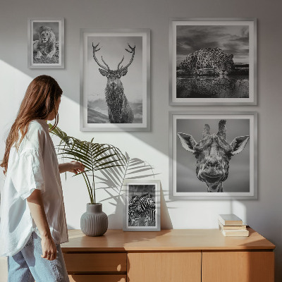 Bildergalerie-set für die wand Schwarz-Weiß-Tiere Natur