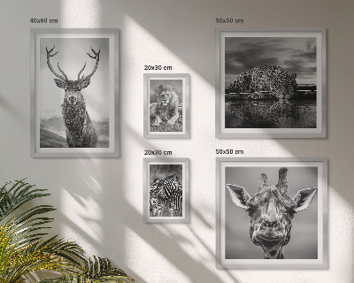 Bildergalerie-set für die wand Schwarz-Weiß-Tiere Natur