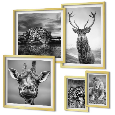 Bildergalerie-set für die wand Schwarz-Weiß-Tiere Natur