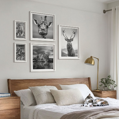 Bildergalerie-set für die wand Schwarz-Weiß-Tiere Natur