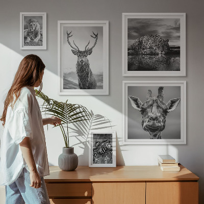 Bildergalerie-set für die wand Schwarz-Weiß-Tiere Natur
