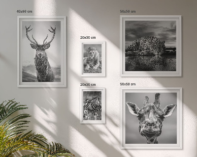 Bildergalerie-set für die wand Schwarz-Weiß-Tiere Natur