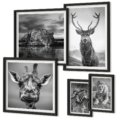Bildergalerie-Set für die Wand mit Motiven von Schwarz-Weiß-Tieren und Natur
