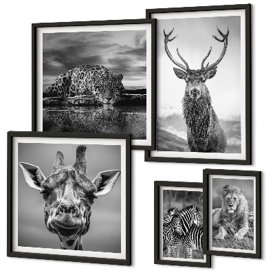 Bildergalerie-set für die wand Schwarz-Weiß-Tiere Natur