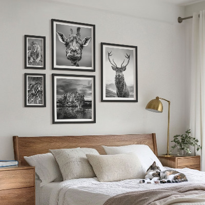 Bildergalerie-set für die wand Schwarz-Weiß-Tiere Natur
