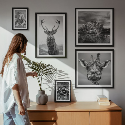 Bildergalerie-set für die wand Schwarz-Weiß-Tiere Natur