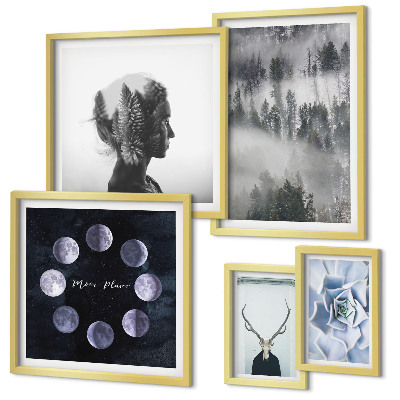 Bildergalerie-set für die wand Naturwald-Raummotive