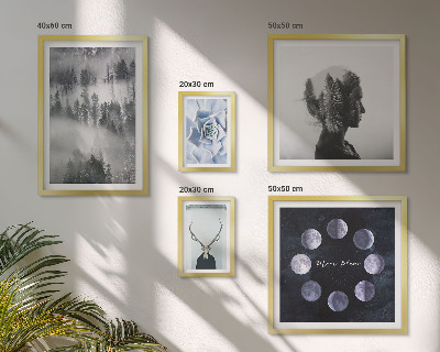 Bildergalerie-set für die wand Naturwald-Raummotive