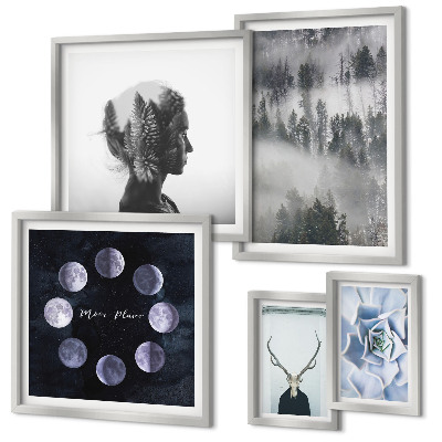 Bildergalerie-set für die wand Naturwald-Raummotive