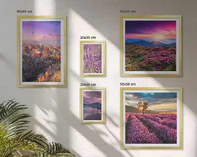 Lavendel-Ballonlandschaft Bilderset fürs Sofa