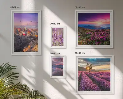 Lavendel-Ballonlandschaft Bilderset fürs Sofa