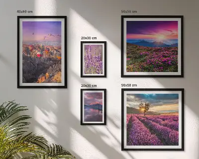 Lavendel-Ballonlandschaft Bilderset fürs Sofa