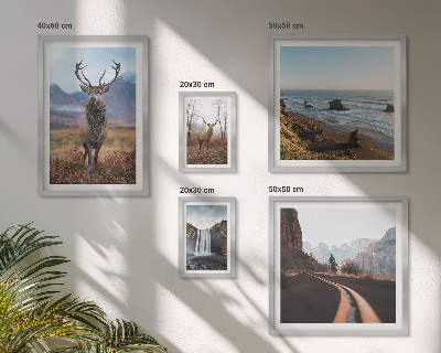 Bilderset fürs sofa Natur, Wildtiere, Landschaften