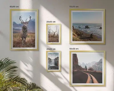 Bilderset fürs Sofa mit Motiven von Natur, Wildtieren und Landschaften