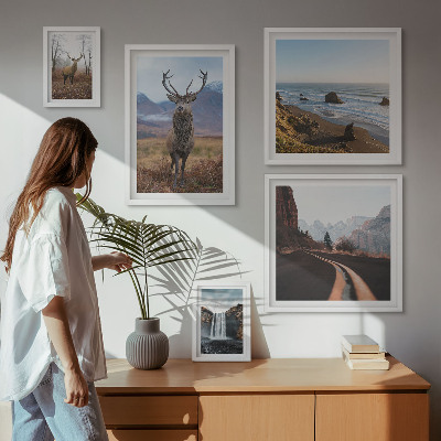Bilderset fürs sofa Natur, Wildtiere, Landschaften