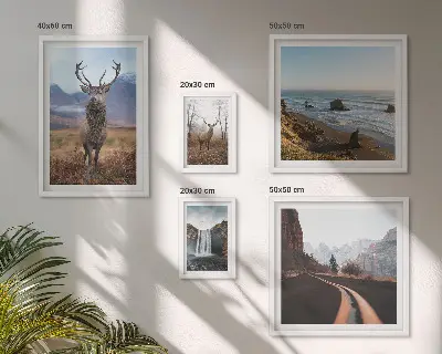 Bilderset fürs Sofa mit Motiven von Natur, Wildtieren und Landschaften