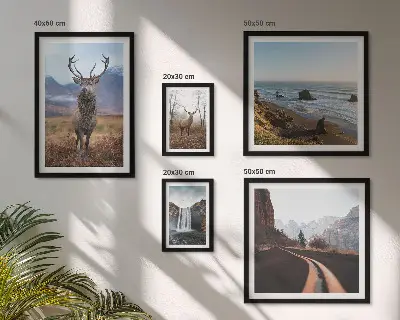 Bilderset fürs Sofa mit Motiven von Natur, Wildtieren und Landschaften