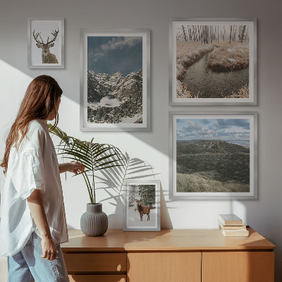 Bildergalerie-set für die wand Wilde Natur, majestätische Berge